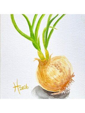 Sprouting Onion 3 Art Original Watercolor Painting on Canvas 9x12in
